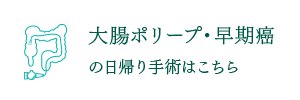 大腸ポリープ・早期がんの日帰り手術はこちら
